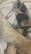 emily_new2 Altpins Profile Picture