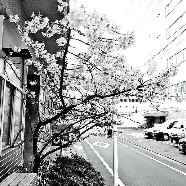 glowmoonshorty instagram image archive image