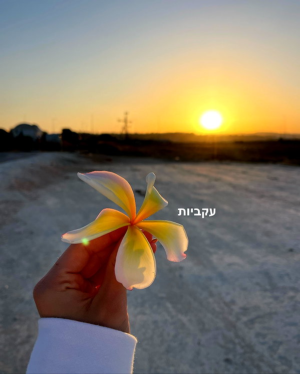 mishel_d_ instagram image archive image