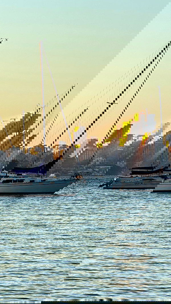 taylor.creeden taylor.creeden archive image