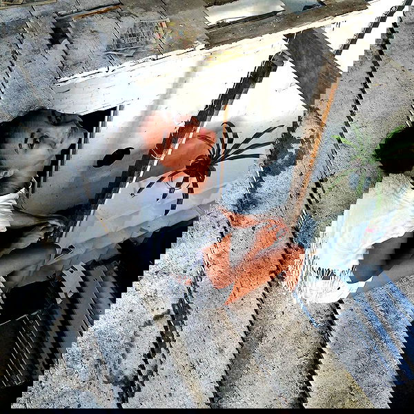 kkulakovaa image ~ Altpins