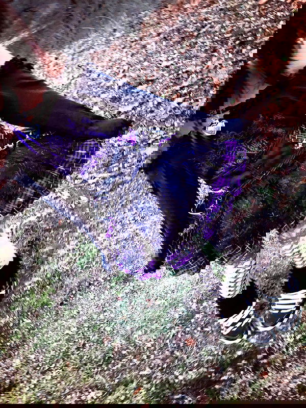 twodollie twodollie archive image