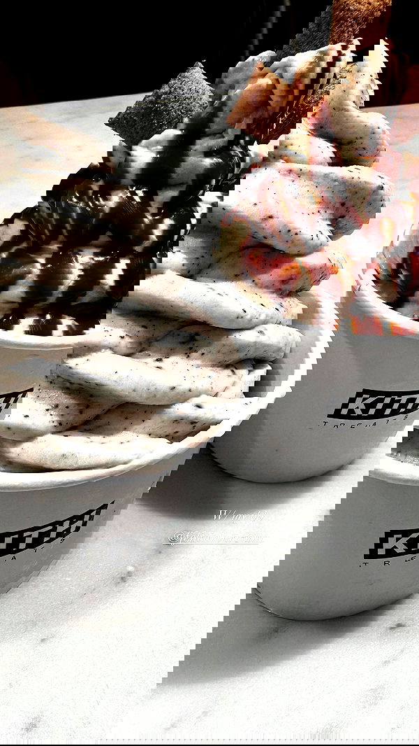 taylor.creeden taylor.creeden archive image