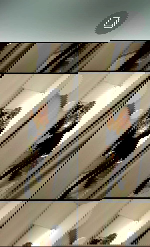 pinx_ir pinx_ir archive image