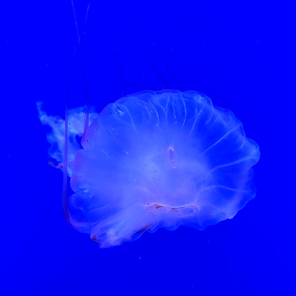 _nunch1 instagram image archive image