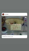 babynympho_archive Altpins Profile Picture