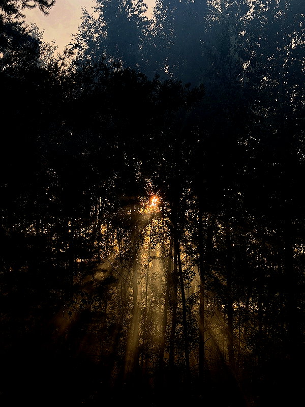 bymonamarie instagram image archive image