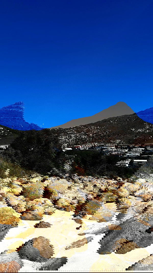 taylor.creeden taylor.creeden archive image