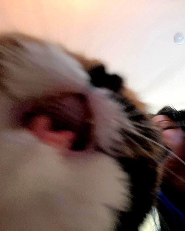 mewisa instagram image archive image