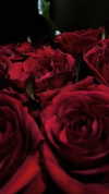 melanin__p Altpins Profile Picture