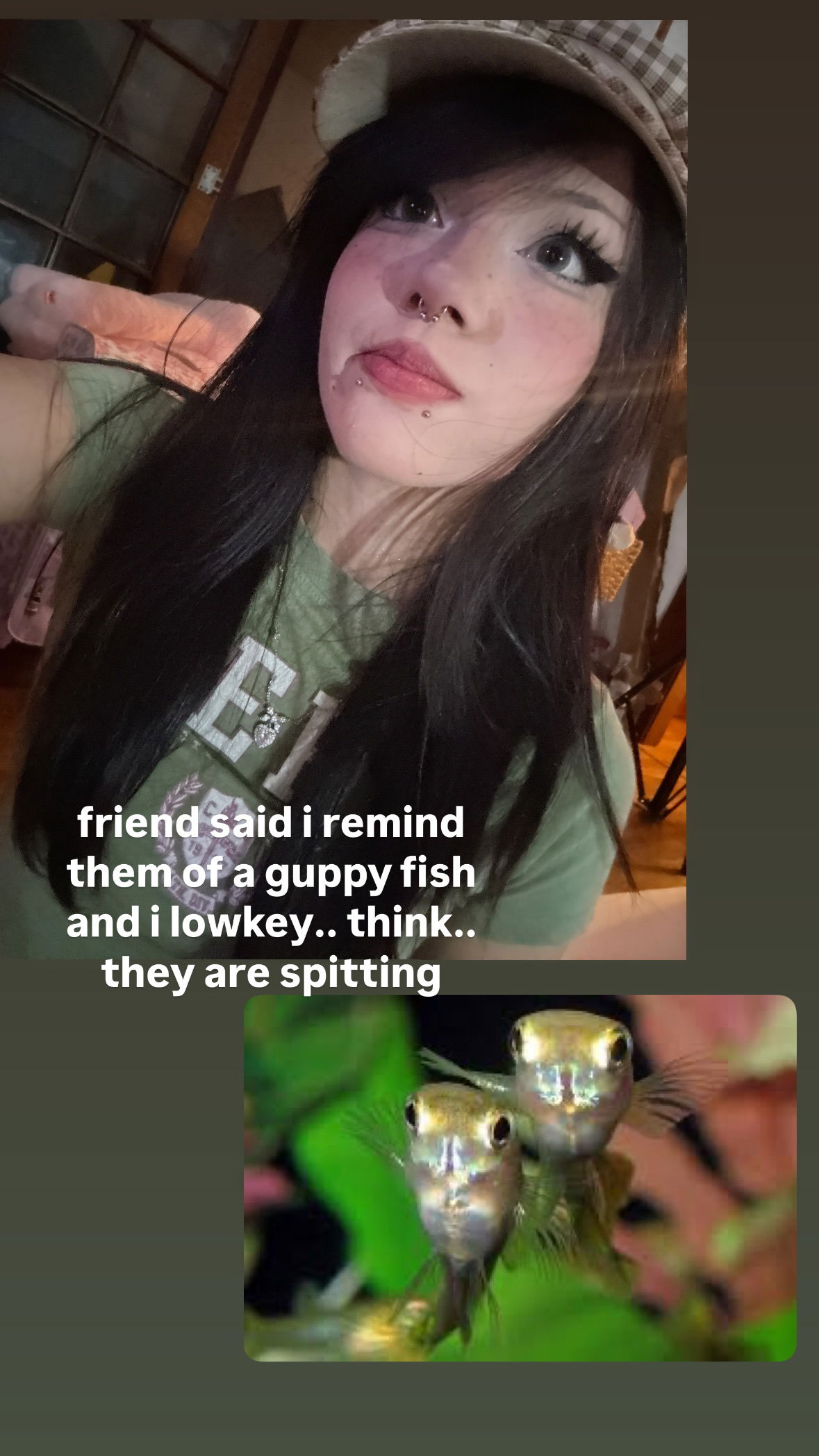 dracuina instagram image archive image