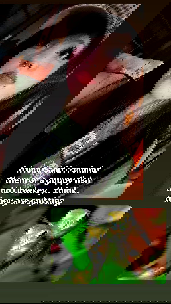 dracuina image ~ Altpins