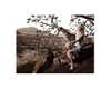 katehudson Altpins Profile Picture