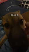 eva.6stuma.com6 Altpins Profile Picture