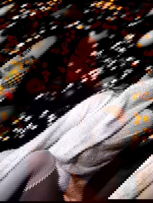 pollcherri pollcherri archive image