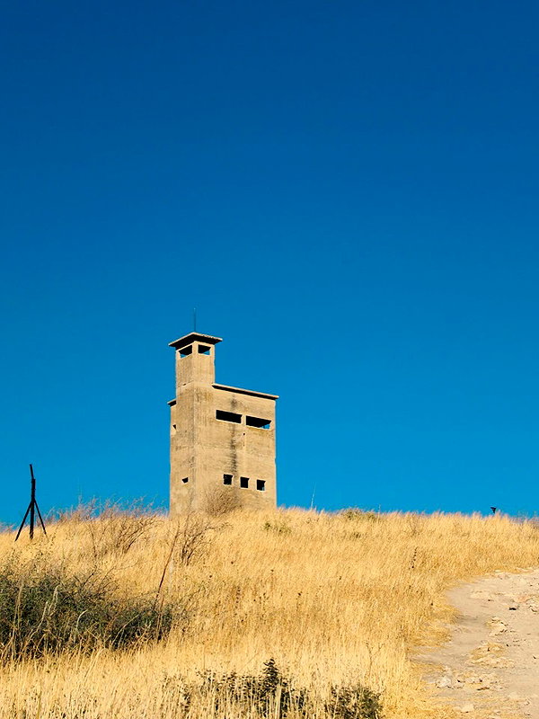 rei.sigalov instagram image archive image
