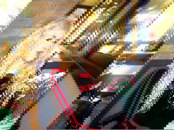 ormosheee ormosheee archive image