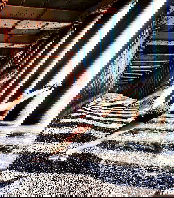 kkulakovaa image ~ Altpins