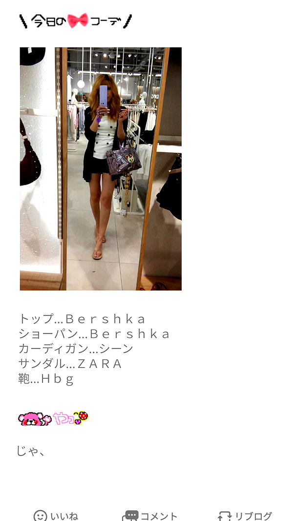 piyokoblog archive image