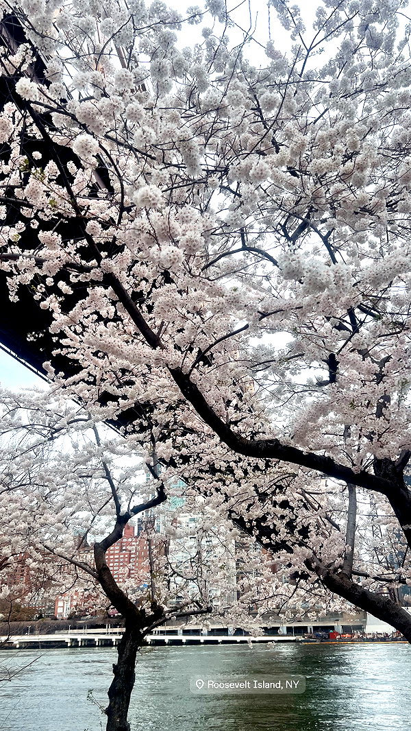 lihi.k_ instagram image archive image