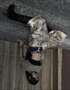 31cna_ Altpins Profile Picture