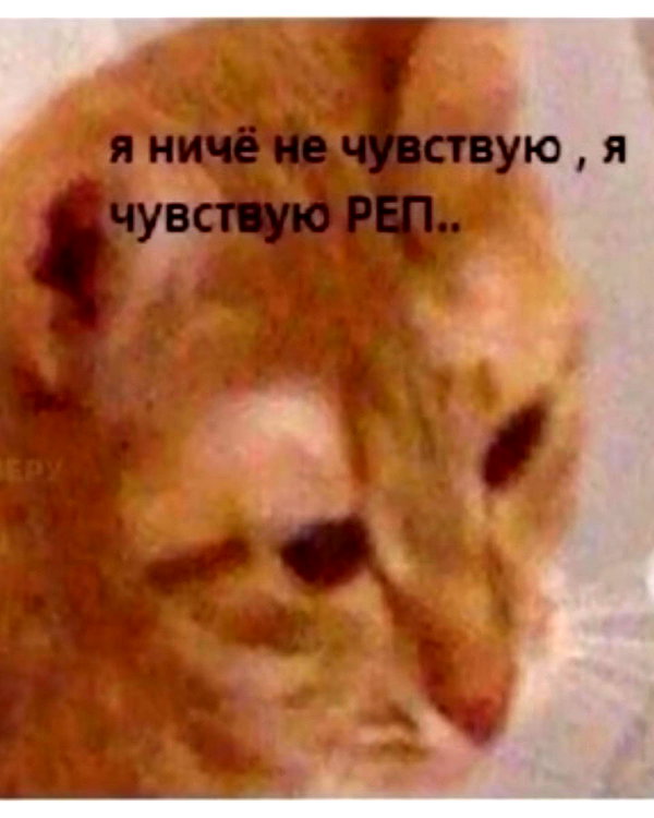 daryanedarya instagram image archive image