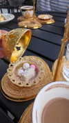 blossom_in_my_moonlight Altpins Profile Picture