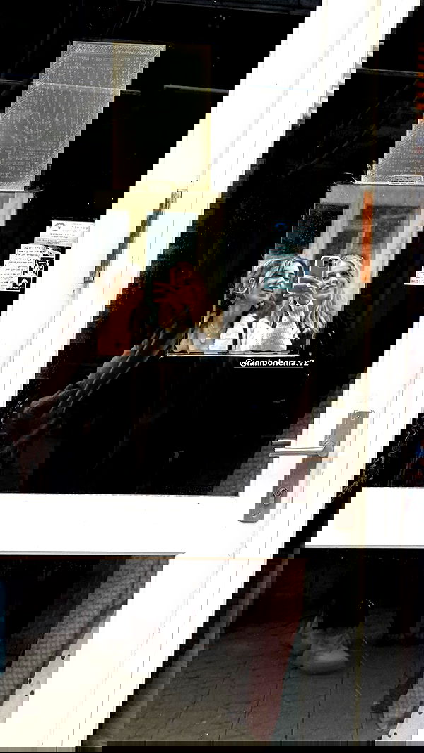 iambohema.v2 iambohema.v2 archive image