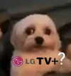 _urbaneva Altpins Profile Picture
