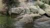 astarwbry_ Altpins Profile Picture
