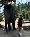orman.mariee Altpins Profile Picture