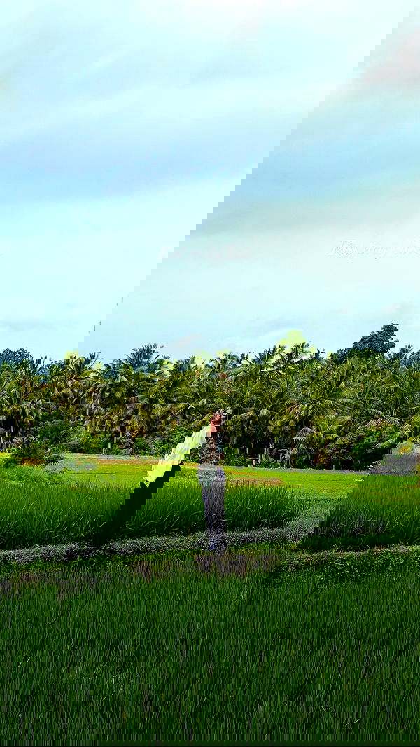 taylor.creeden taylor.creeden archive image