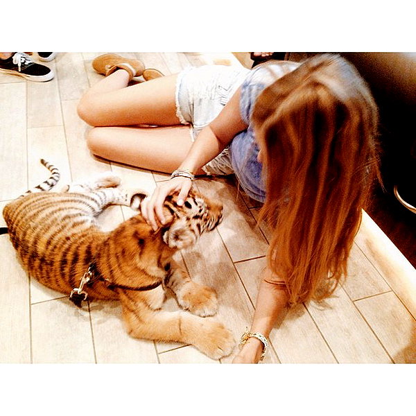 gigihadid instagram image archive image