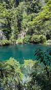solzarubin_ Altpins Profile Picture