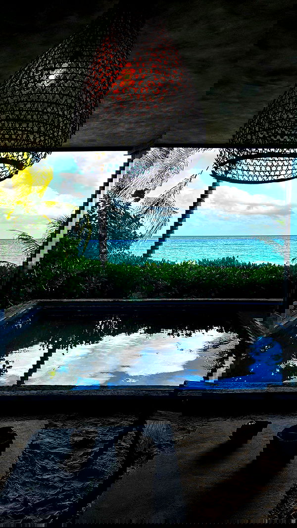 taylor.creeden taylor.creeden archive image