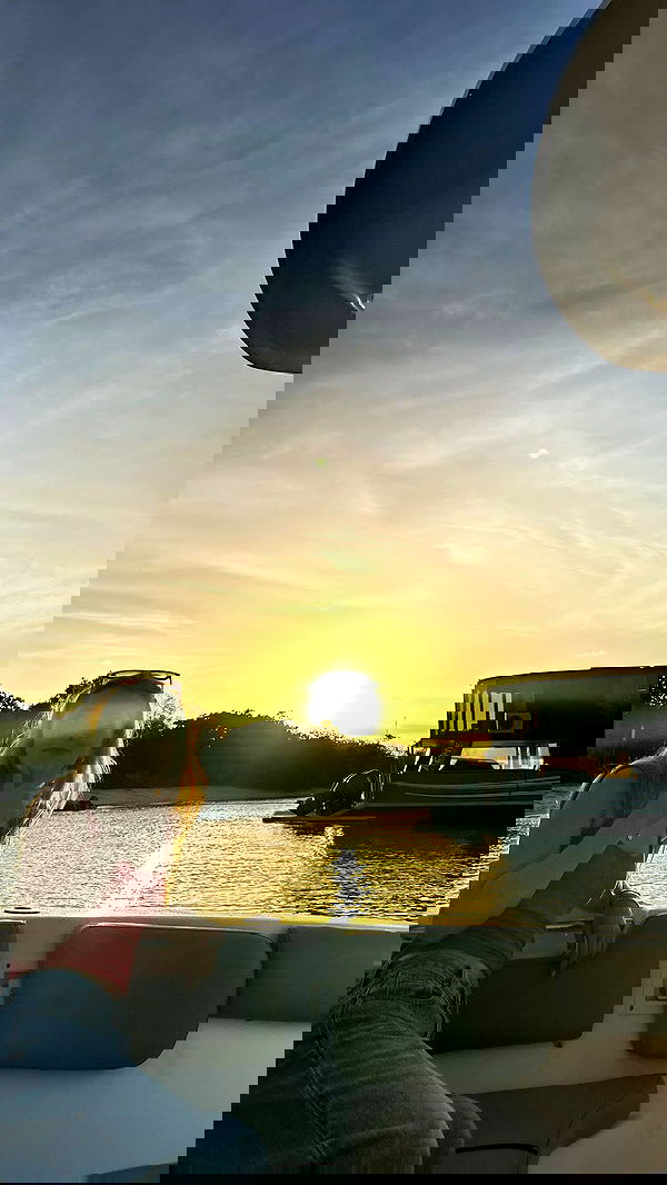 daisy_r_19 daisy_r_19 archive image