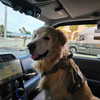 muze Altpins Profile Picture