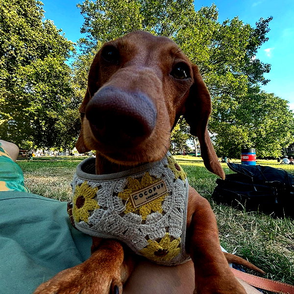 charley.chambers instagram image archive image