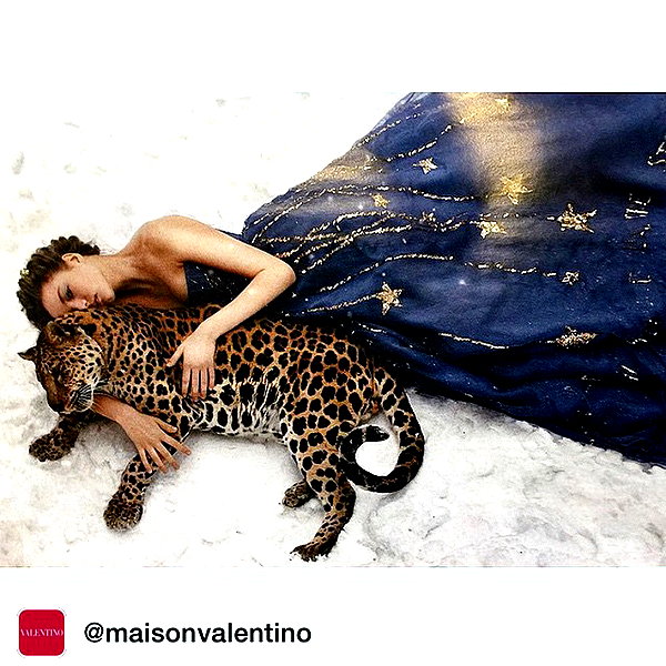 kafelnikova_a instagram image archive image