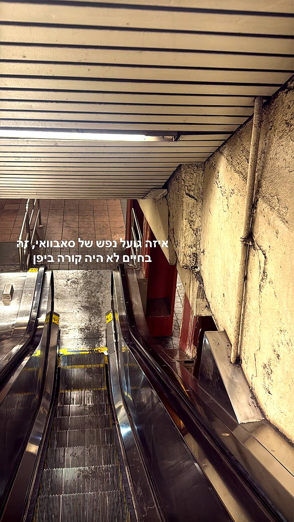 biton__adi instagram image archive image