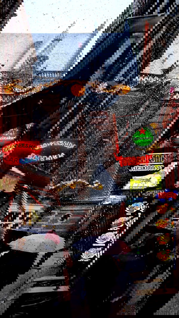 alex.banin alex.banin archive image