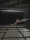 zommmbri Altpins Profile Picture
