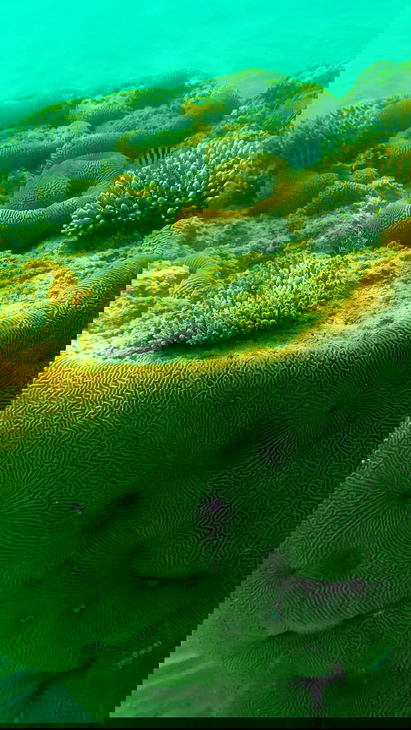 taylor.creeden taylor.creeden archive image