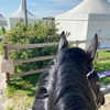 kafelnikova_a Altpins Profile Picture