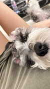 miisu000 Altpins Profile Picture