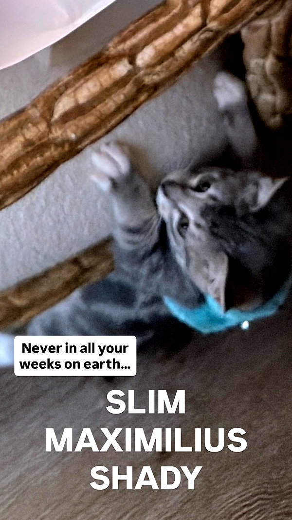 gabbyepstein archive image