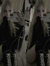dollcja Altpins Profile Picture