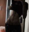 ambrzinha666 Altpins Profile Picture