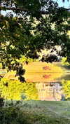 elizabethcampbelljones Altpins Profile Picture