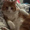 itsnokiiia Altpins Profile Picture